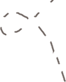 standard-curve1.png
