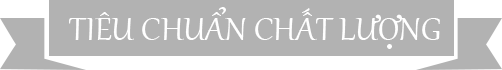 standard-title-vi.png