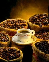 The story of coffee.
