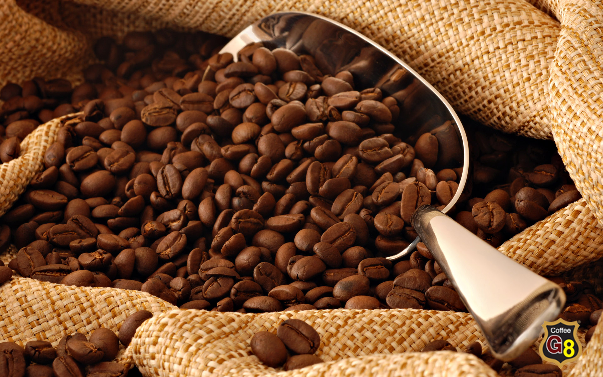 HISTORY OF COFFEE TREES