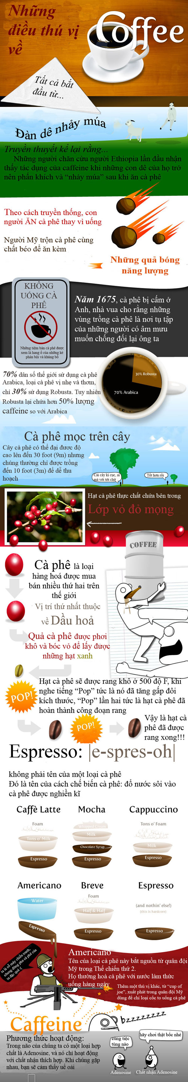 cà phê rang xay nguyên chất