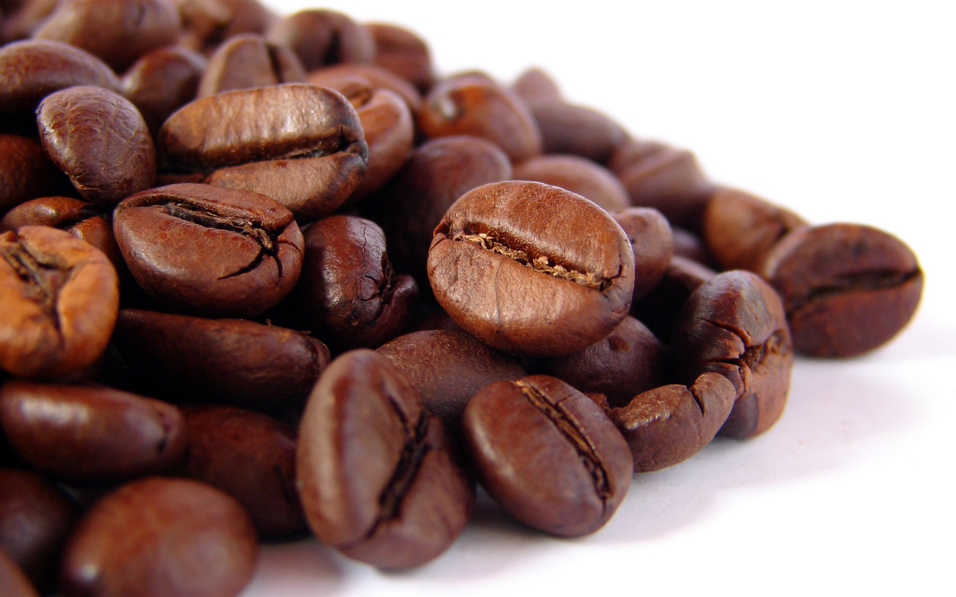 g8coffee bean